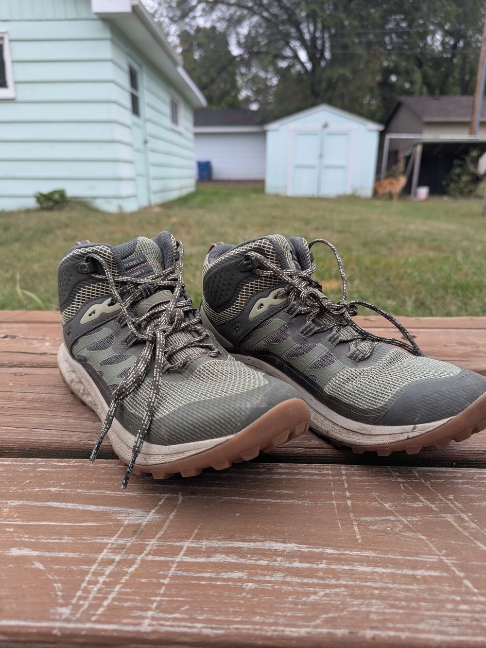 Women's Merrell Antora 3 Hiking Boots Size 8.5 Olive Green